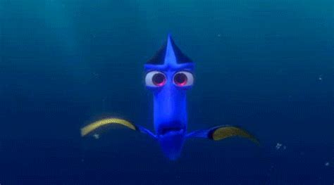 Finding Nemo Fish  Find And Share On Giphy