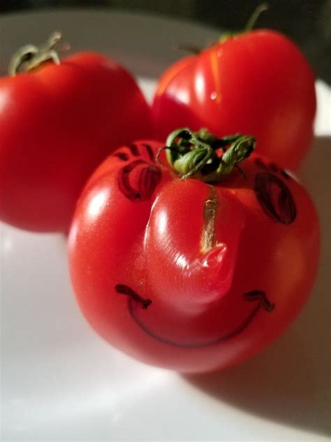 Funny Tomato