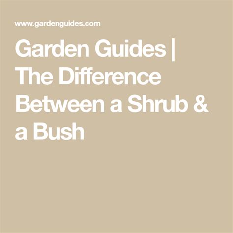 The Difference Between A Shrub And A Bush In 2022 Types Of Shrubs