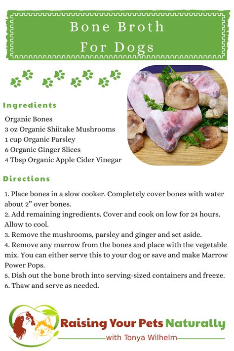 When there is 8 hours left, add in the garlic, carrots, and celery. Healthy Dog Recipes | Bone Broth Recipe for Dogs ~ Raising ...