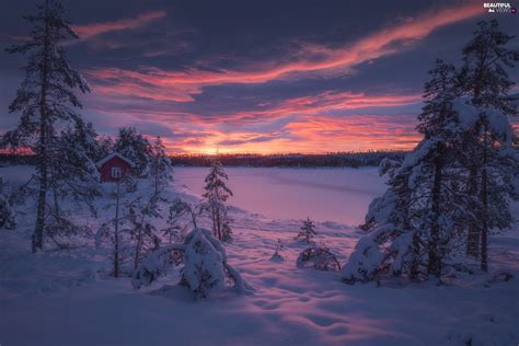Clouds Trees House Ringerike Snowy Winter Viewes Norway Great