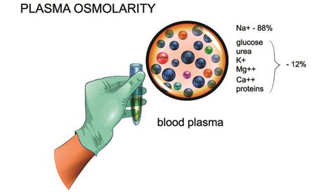 How is the osmolality test used? Osmolarity - The Definitive Guide | Biology Dictionary