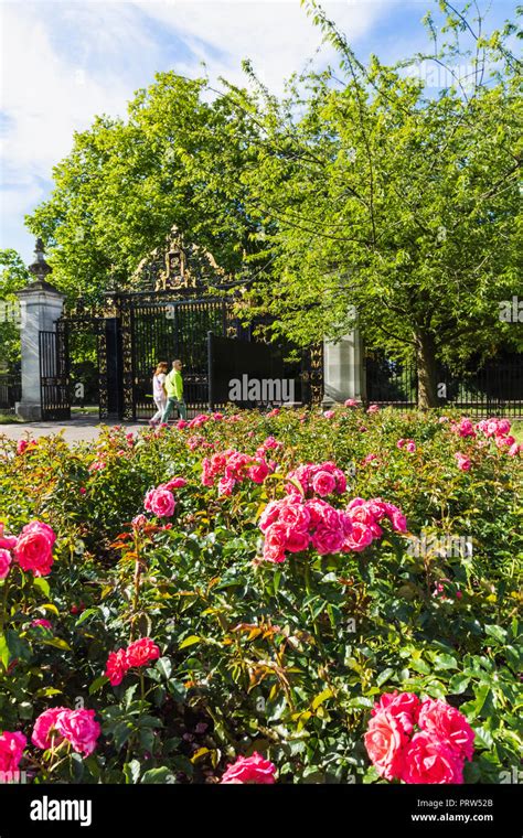 England London Regents Park Queen Marys Gardens Roses And Jubilee