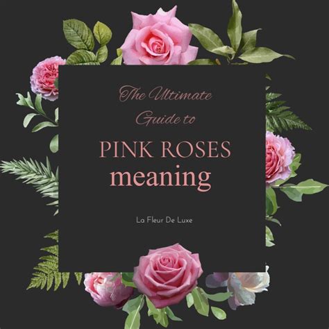 Pink Roses Meaning Symbolism History La Fleur De Luxe
