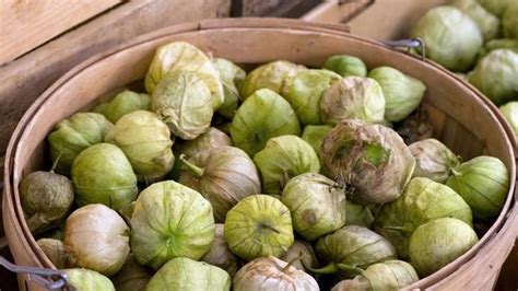 The best indicator for when to pick a tomatillo is the husk. Tomatillos are in season. We have recipes - LA Times