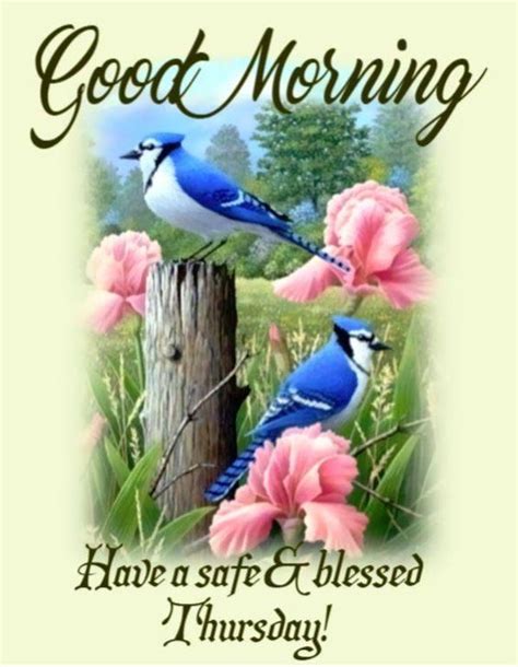 Safe Good Morning Thursday Blessing Pictures Photos And Images For