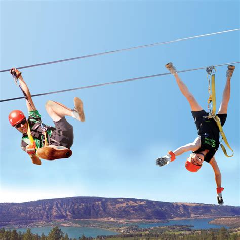 Zipline understands that quality storage and handling are paramount, particularly for medical products that require cold chain and other special. Oyama Zipline Forest Adventure