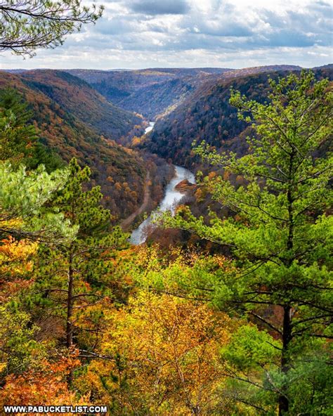 Where To Find The Best Fall Foliage Views In The Pa Grand Canyon