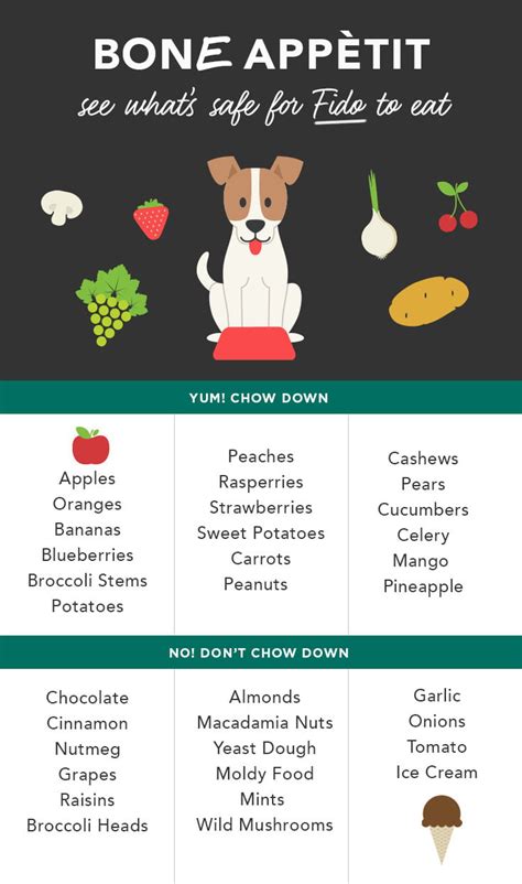 Macadamia nuts are some of the most dangerous foods dogs can't eat. Can Dogs Eat Apples? Experts Say, "sure!" - Care.com
