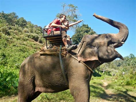Cosa Fare A Chiang Mai Escursione In Elefante Viaggio In Thailandia