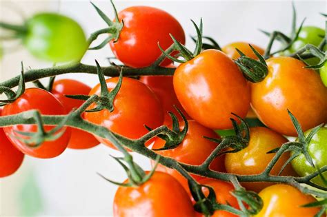 Sweetest Tomatoes to Grow - gardenersworld.com