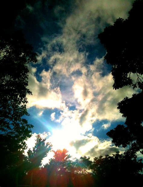 Sky Through Trees By Maomaocandyfloss333 On Deviantart