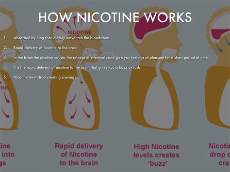 Nicotine By