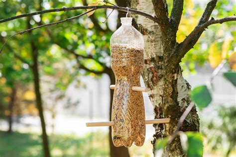 How To Make A Bird Feeder From A 2 Liter Plastic Bottle