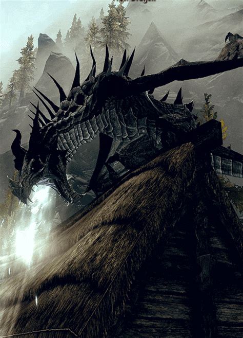 With that being said, here's my choice for the top 100 best dragon pictures and art from across the internet. Cool Animated Dragon Gifs at Best Animations | Skyrim ...