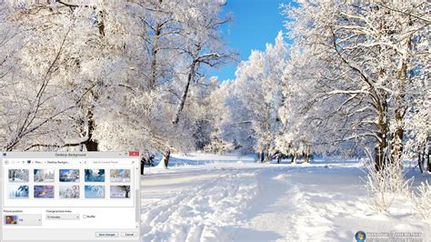 Download Winter Trees Windows 7 Theme 100