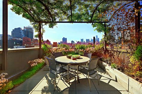 Rooftop Garden Design Ideas And Tips Pars Diplomatic Real Estate