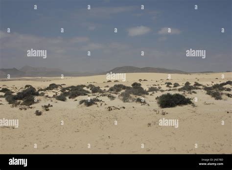 Grandes Playas De Corralejo Hi Res Stock Photography And Images Alamy