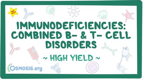 Immunodeficiencies Combined T Cell And B Cell Disorders Pathology