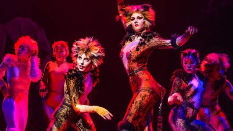 Cats was the 1983 tony award winner for best musical. 5 reasons why I fell in love with CATS… the Musical! • SEA ...