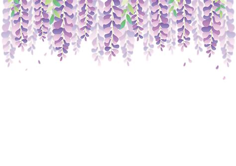 Download Wisteria Flowers Floral Background Royalty Free Stock