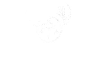 In order for a dog food (or any pet food) to be aafco approved, the food has to meet the requirements for one of aafco's life stages. FAQs - Fussie Cat