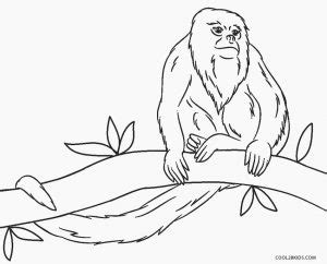 Monkeys coloring page with few details for kids. Free Printable Monkey Coloring Pages for Kids | Cool2bKids