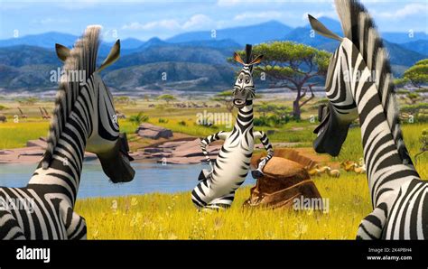 Madagascar 2 Marty Hi Res Stock Photography And Images Alamy