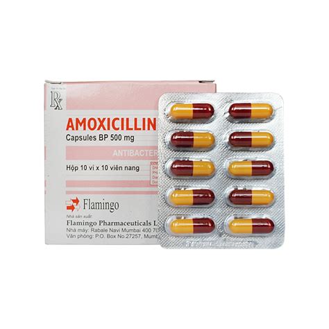 Thuốc Kháng Sinh Amoxicillin 500mg