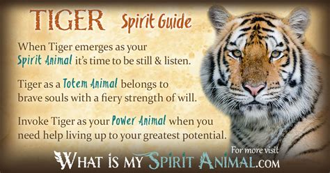 Our complete guide to spirit animals explains what spirit animals are and how spirit animals can be harnessed for other names might be animal guides, spirit helpers, spirit allies, power animals, or animal helpers. Tiger Symbolism & Meaning | Spirit, Totem & Power Animal