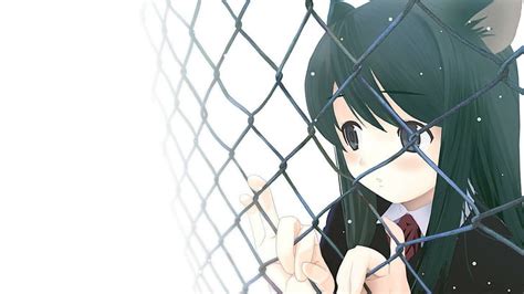 Cat Girl Nekomimi Anime Original Characters Chain Link Fence