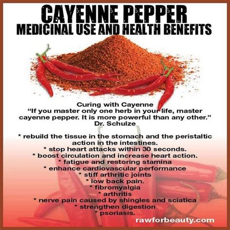 Cayenne Pepper Pepper Benefits Cayenne Pepper Benefits Stuffed Peppers