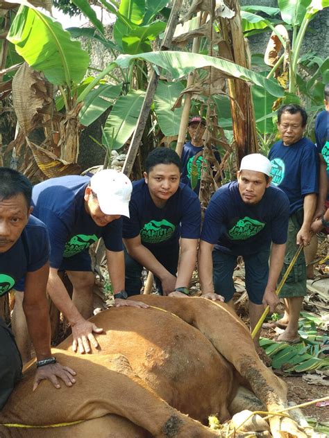 We did not find results for: Kaos Qurban Untuk Panitia | Murah Kualitas Terbaik ...