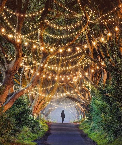 Travel Vacations Nature On Instagram The Dark Hedges Ireland Who
