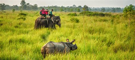Popular Tour In Chitwan Jungle Safari Tours Welcome To Hotel