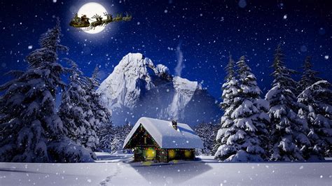 Images Deer Christmas Sleigh Winter Nature Snow Moon Night 2560x1440