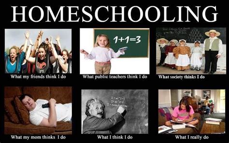What I Really Do Homeschooling Homeschool Memes Homeschool Humor