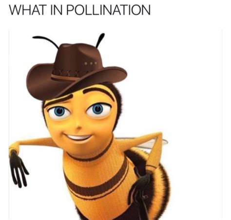 Pin By Maddie Baumeister On Memes Bee Movie Memes Bee Movie Memes