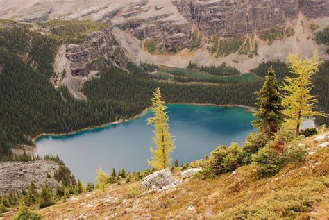 Living Free Range Travel Lake Ohara British Columbia Canada