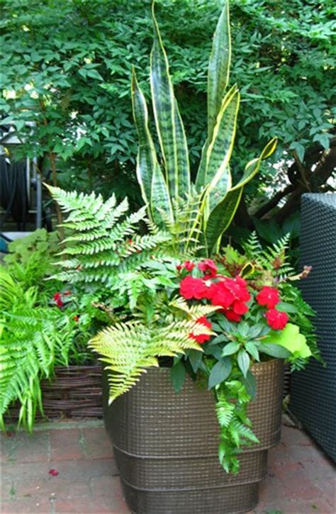 Creative Garden Container Pot Combinations And Tips