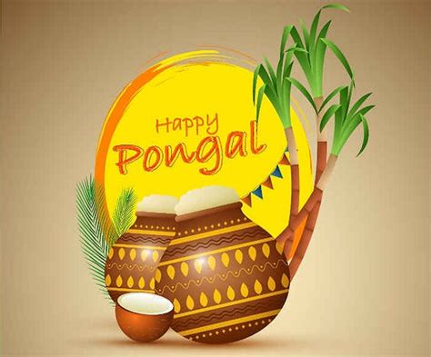 Happy Pongal 2020 Wishes Sms Quotes Messages Facebook And Whatsapp