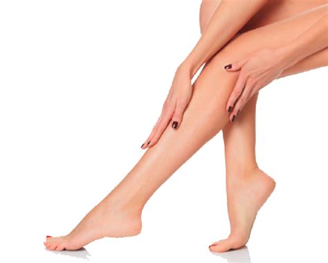 Legs Png Transparent Images Png All