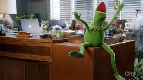 For regular memes please try another subreddit. Kermit GIFs - Find & Share on GIPHY