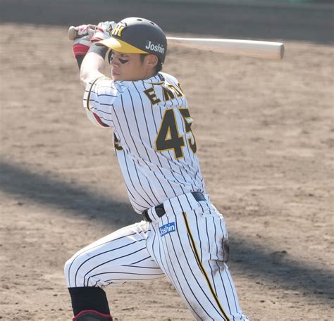 阪神遠藤成が初のキャンプ1軍抜てき「去年2軍でしっかり」矢野監督期待 プロ野球写真ニュース 日刊スポーツ