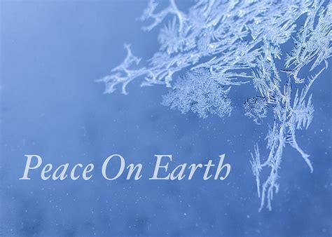 Peace On Earth Christmas Card Photograph By Joy Mcadams