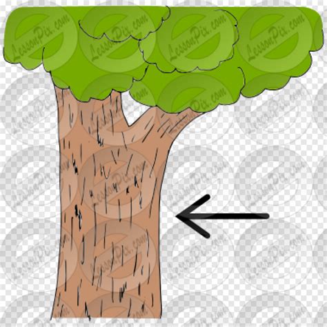 Tree Texture Bark Clipart Tree Bark Texture Png Download 380x380