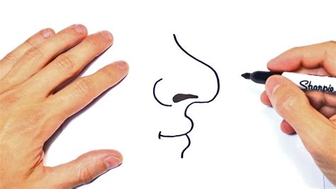 How To Draw A Nose Step By Step Nose Drawing
