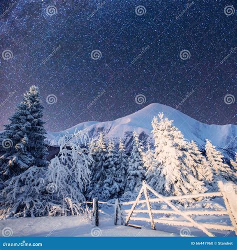 Winter Landscape With Snow In Mountains Carpathians Ukrainestarry Sky