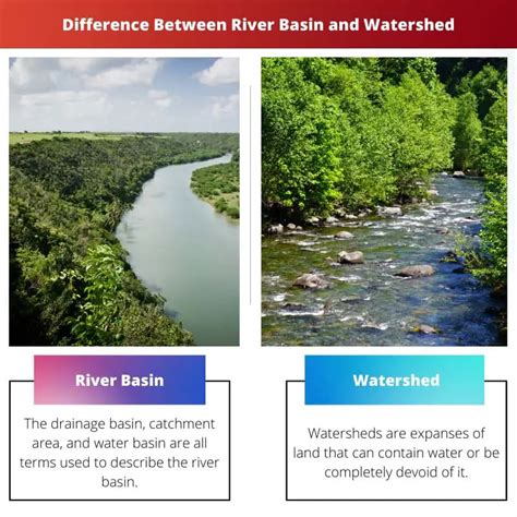 River Basin Vs Watershed Difference And Comparison