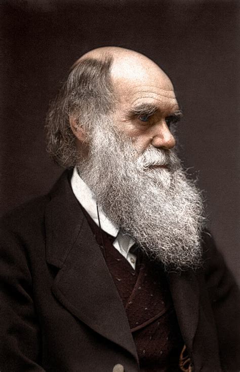 زندگینامه چارلز داروین آشنایی با نظریه های داروین جادوی باور